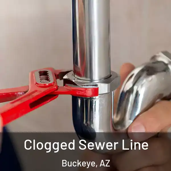  Clogged Sewer Line Buckeye, AZ