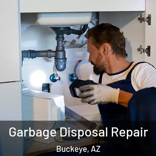  Garbage Disposal Repair Buckeye, AZ