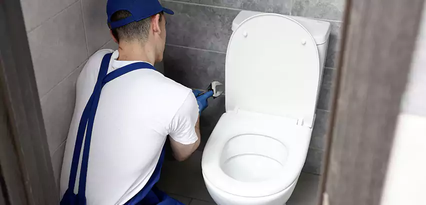 Toilet Lid Replacement in Buckeye