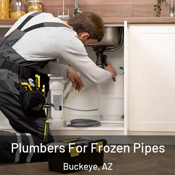  Plumbers For Frozen Pipes Buckeye, AZ