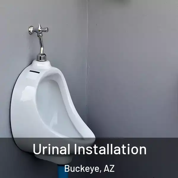  Urinal Installation Buckeye, AZ